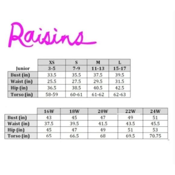 RAISINS CURVE High-rise Ruched front Costa Swim Solid Pink Bikini Bottom 22W NWT - Picture 5 of 5